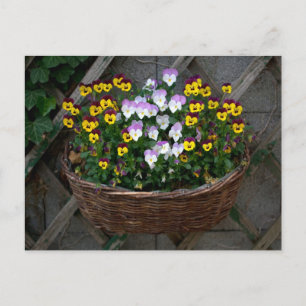 Postal Canasta con violas