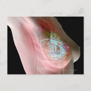 Postal Cáncer de mama