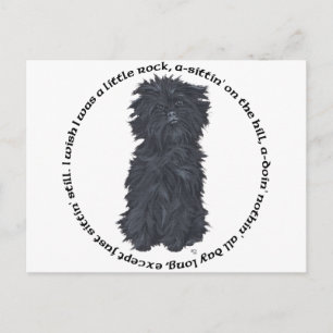 Postal Canción de Affenpinscher