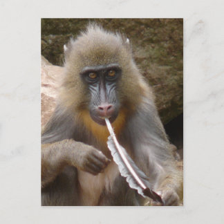 Postal Canción de paz