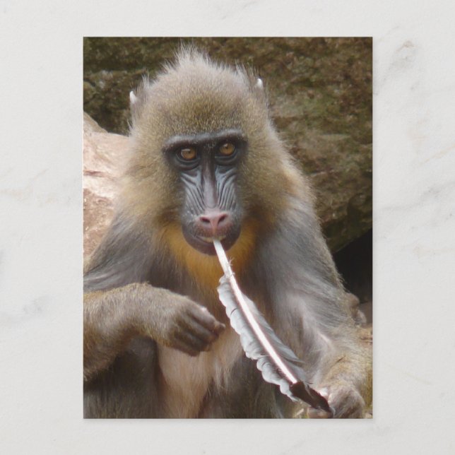 Postal Canción de paz (Anverso)