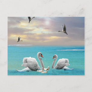 Postal Canción Del Cisne Blanco,