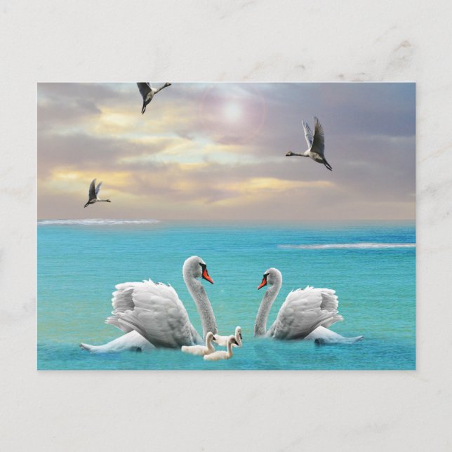 Postal Canción Del Cisne Blanco, (Anverso)