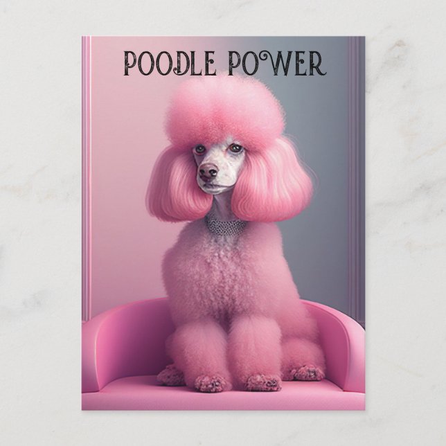 Postal Canción rosa - Poodle de podio (Anverso)