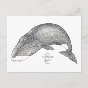 Postal canciones de ballena