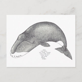 Postal canciones de ballena