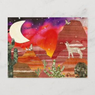 Postal Canciones Nocturnas Coyote Canyon
