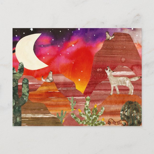 Postal Canciones Nocturnas Coyote Canyon (Anverso)
