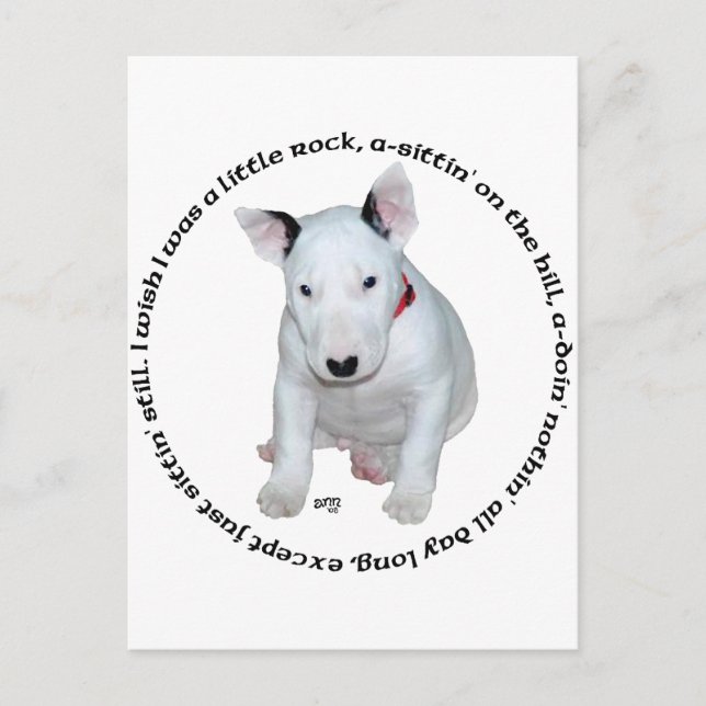 Postal Canciones para Cachorros de Bull Terrier (Anverso)