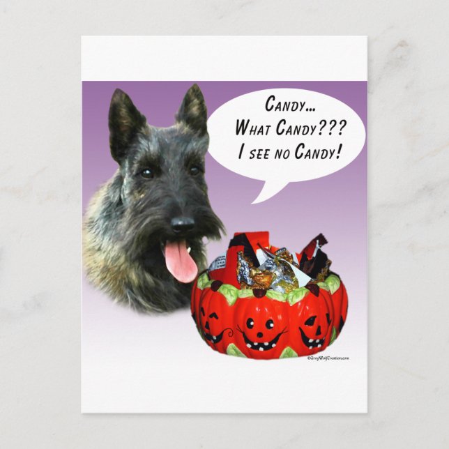 Postal Candía de Halloween de ScottishTerrier (Anverso)
