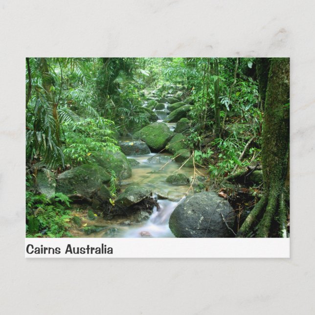 Postal Candidato de Cairns Forest Creek Queensland Austra (Anverso)