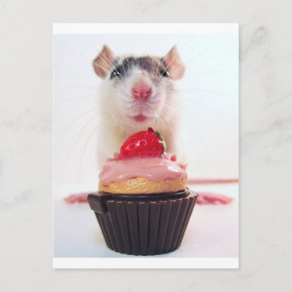 Postal Candy Rat