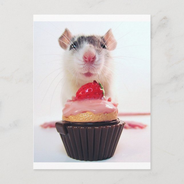 Postal Candy Rat (Anverso)