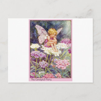 Postal Candytuft