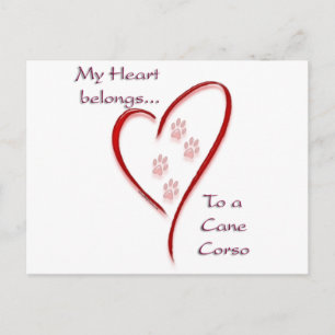 Postal Cane Corso Heart Belongs