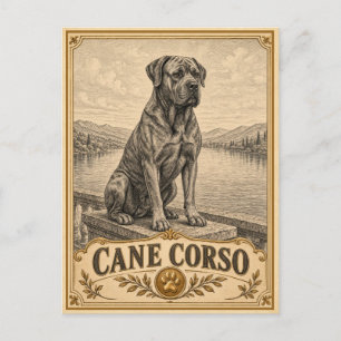 Postal Cane Corso, perro vintage de herencia