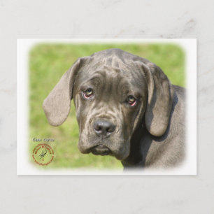 Postal Cane Corso Puppy 8R062D-25