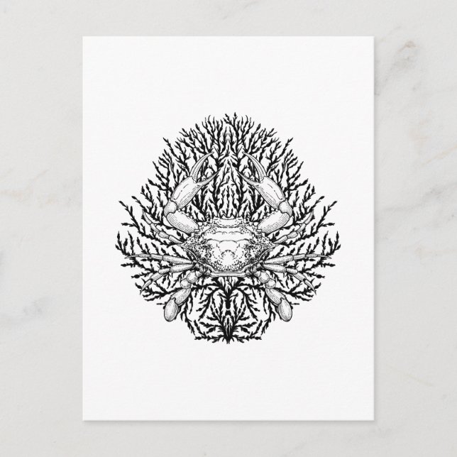 Postal Cangrejo (Anverso)