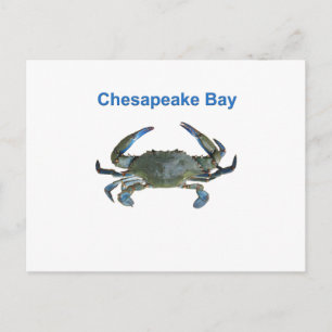 Postal Cangrejo azul de la bahía de Chesapeake