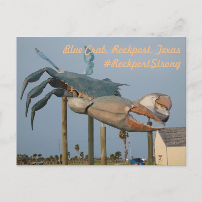 Postal Cangrejo azul - Rockport, Texas (Anverso)