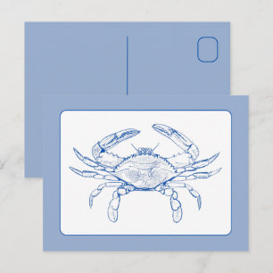 Postal Cangrejo azul y blanco costero