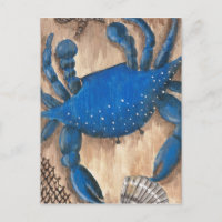 Cangrejo, concha y red