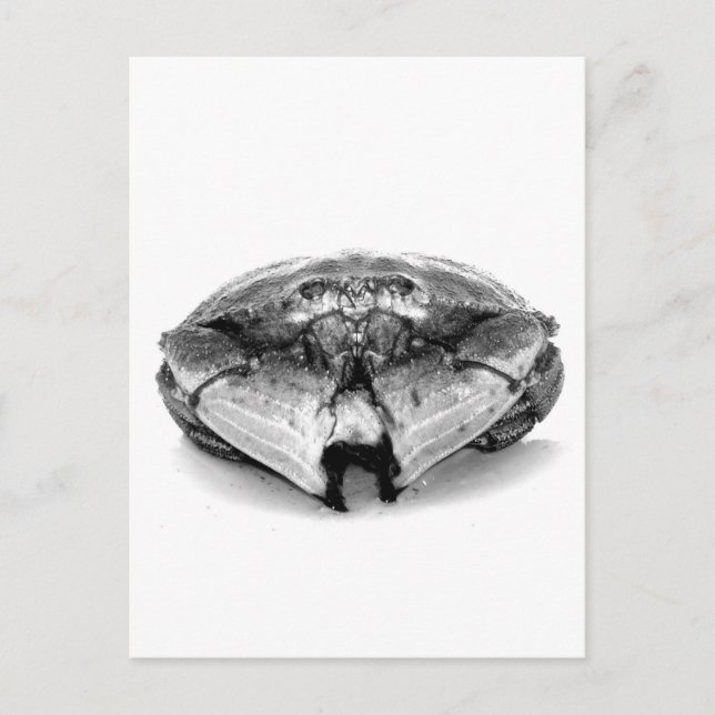 Postal Cangrejo de rock I de Nueva Inglaterra (Anverso)