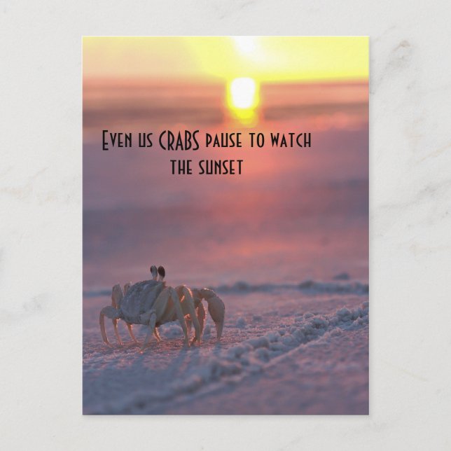 Postal Cangrejo mirando la puesta de sol (Anverso)