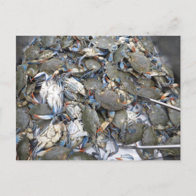 Postal Cangrejos (Anverso)