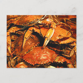 Postal Cangrejos duros de Maryland al vapor