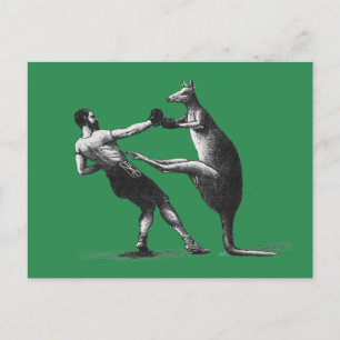 Postal canguro de boxeo vintage