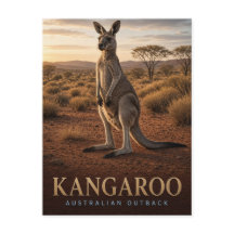 Canguro Fauna del Outback Australiano ANIMAL
