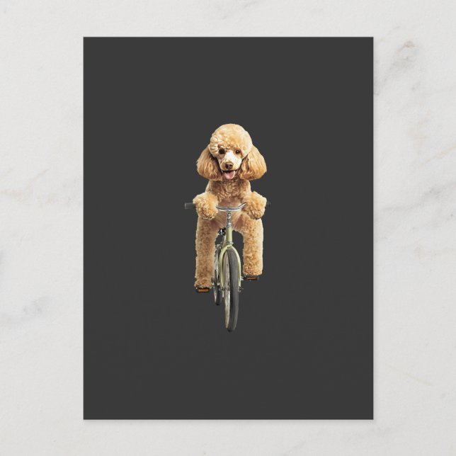 Postal Caniche  (Anverso)