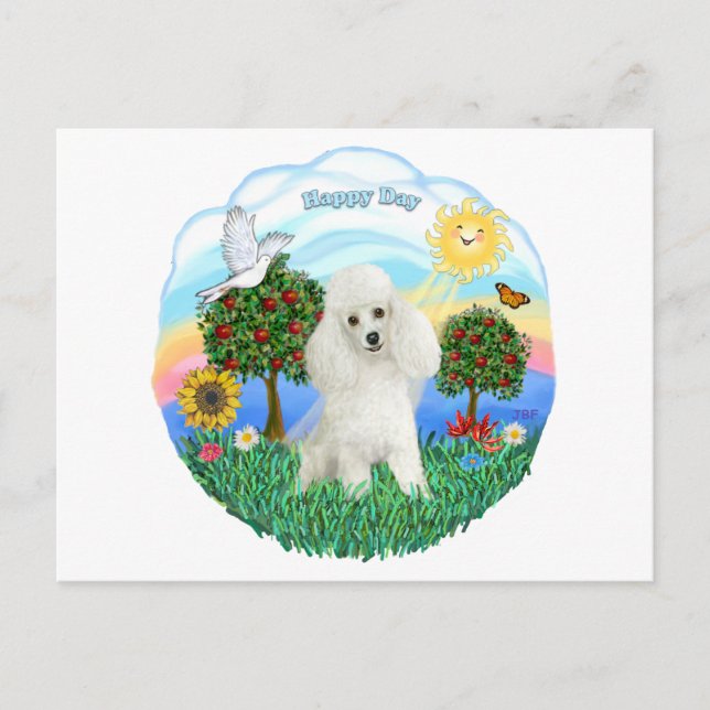 Postal Caniche (blanco #14) (Anverso)