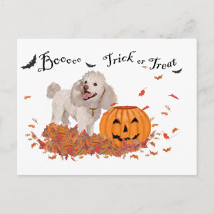 Postal Caniche en Halloween