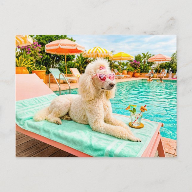 Postal Caniche en tumbona (Anverso)