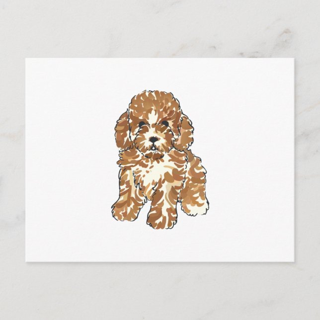 Postal Caniche mini (Anverso)