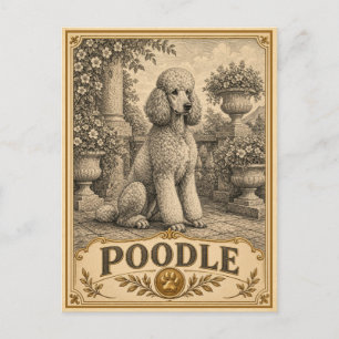 Postal Caniche, perro vintage de herencia