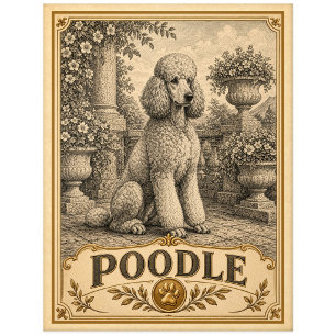 Postal Caniche, perro vintage de herencia