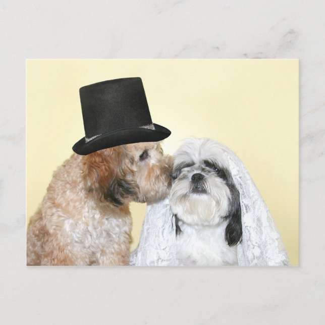 Postal Canine Bride y Groom (Anverso)