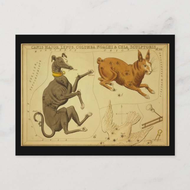 Postal Canis Major, Lepus, Columba Noachi Cela Sculptoris (Anverso)