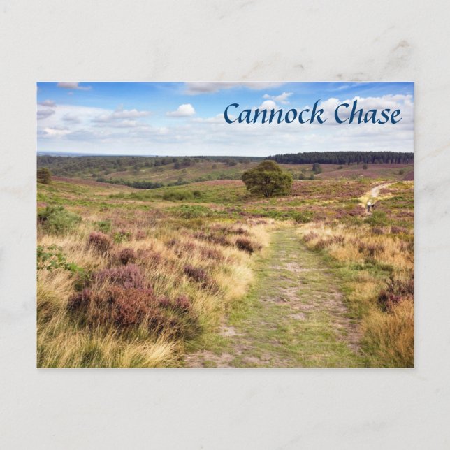 Postal Cannock Chase en la foto de recuerdo de Staffordsh (Anverso)