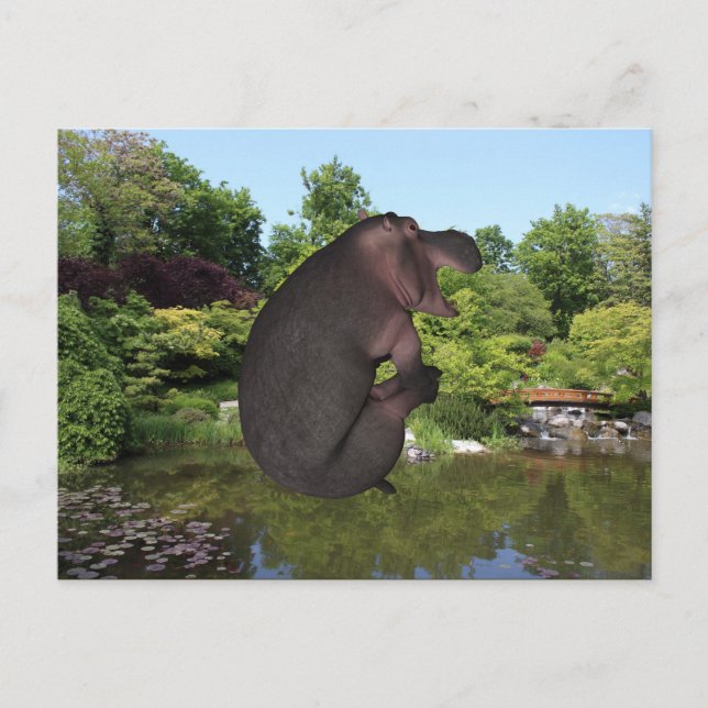 Postal Cannonball Hippo (Anverso)