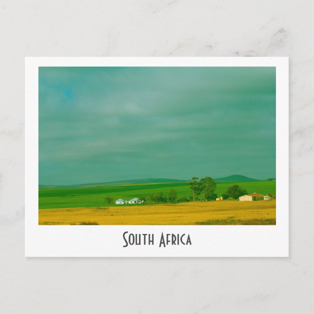 Postal Canola Fields Paisaje de Sudáfrica (Anverso)