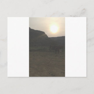 Postal Cañón al atardecer