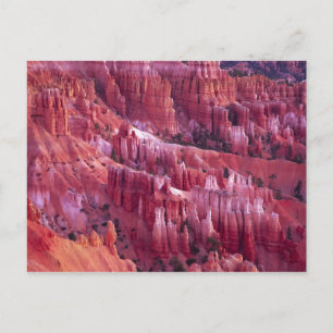 Postal Cañón Bryce, Utah, EE. UU.