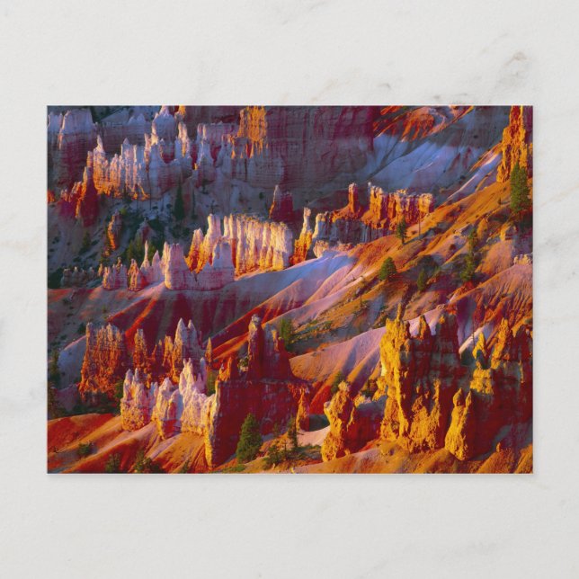 Postal Cañón Bryce, Utah, EE. UU. 2 (Anverso)