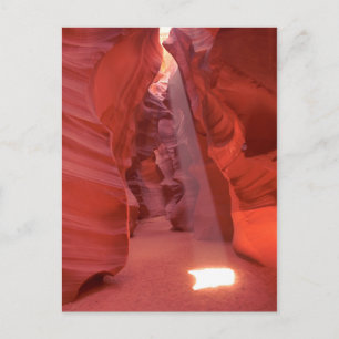 Postal Cañón Corkbolt, Arizona