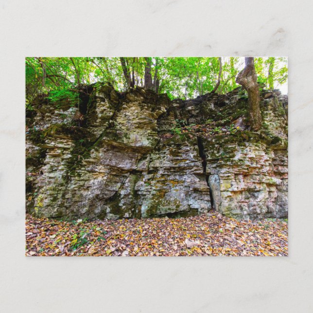 Postal Cañón de aldea india en otoño, Columbus, Ohio (Anverso)