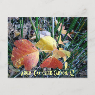 Postal Cañón de encino de roble, AZ